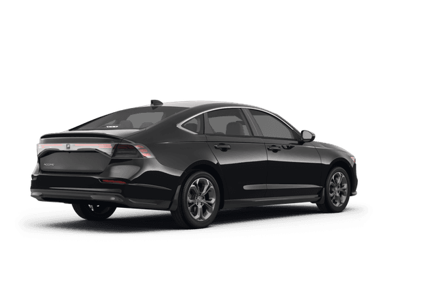 Honda Accord - Back view Honda Accord - Back view